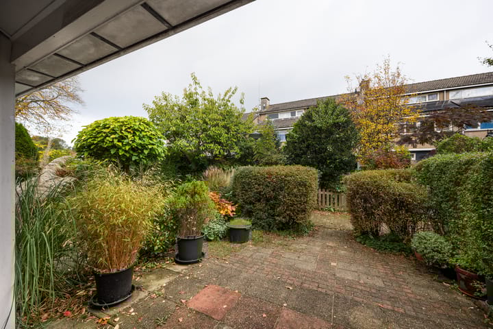 Foto 29 van Distelvlinder 5