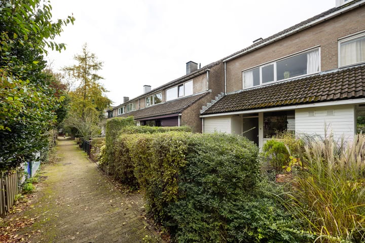 Foto 32 van Distelvlinder 5