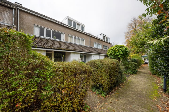 Foto 31 van Distelvlinder 5