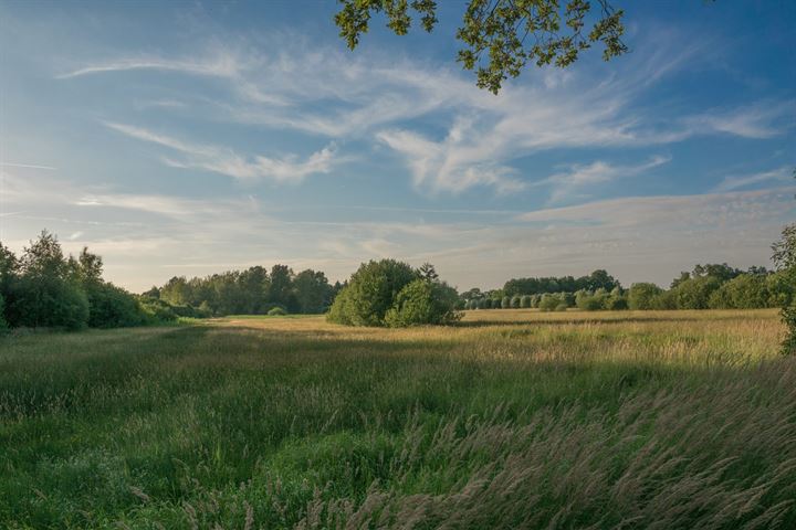 View photo 35 of Burgemeester Pankenstraat 6