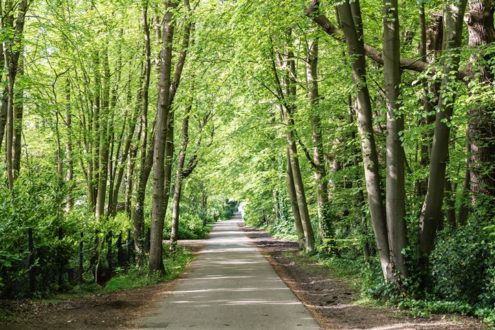 Bekijk foto 45 van Van Vollenhovenlaan 1