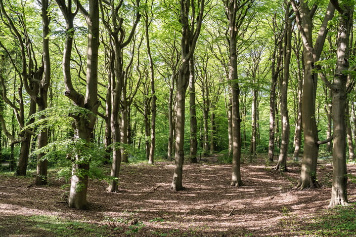 Bekijk foto 46 van Van Vollenhovenlaan 1