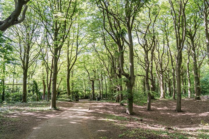 Bekijk foto 49 van Van Vollenhovenlaan 1