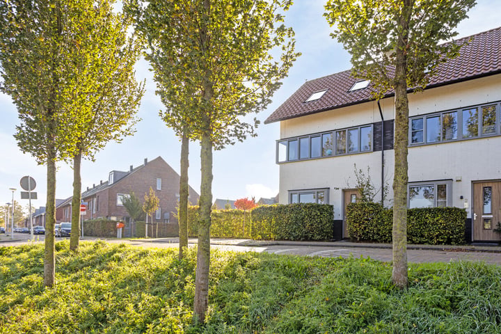 Bekijk foto 38 van Seizoentuinenlaan 1