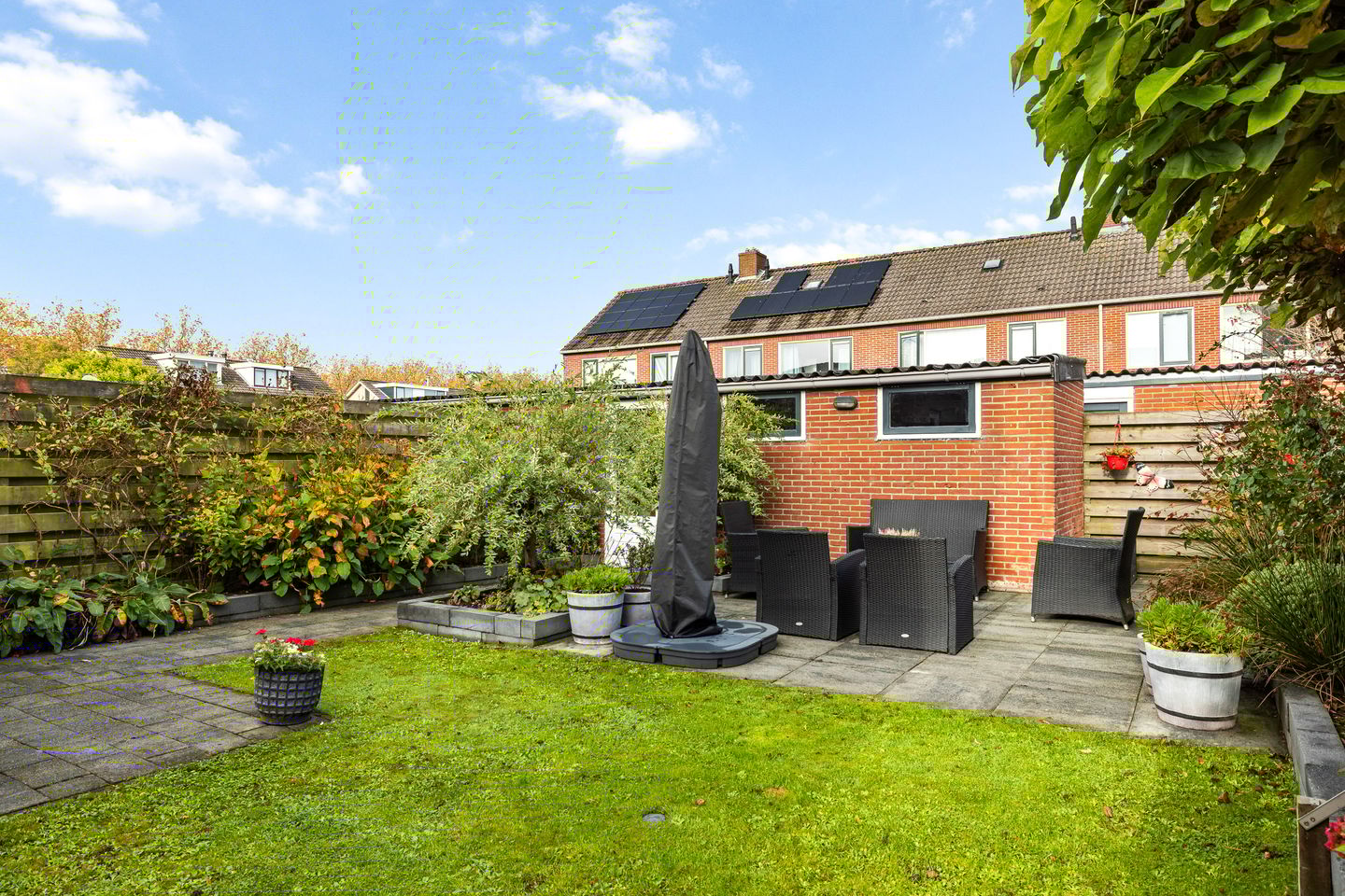 Foto 4 van Sixmastins 7