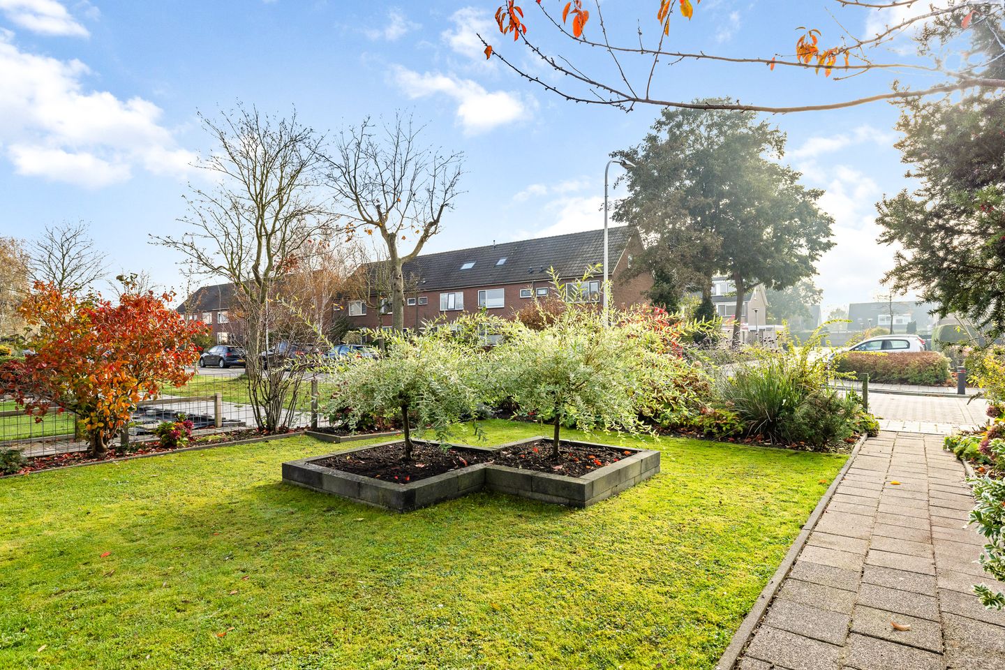 Foto 5 van Sixmastins 7