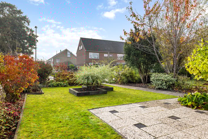 Foto 6 van Sixmastins 7