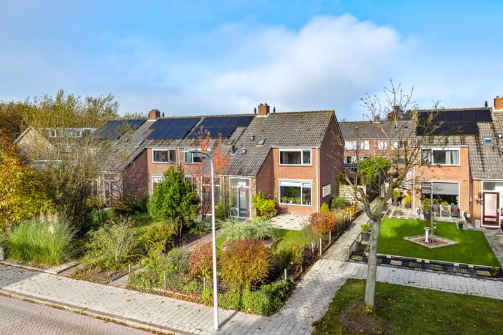 Foto 7 van Sixmastins 7