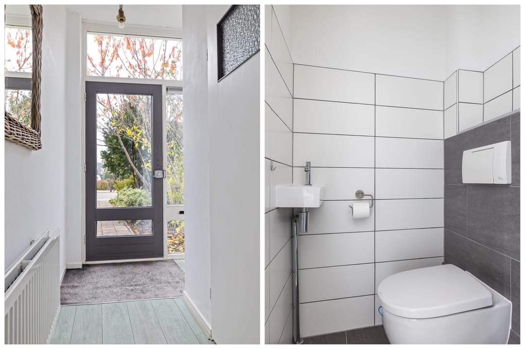 Foto 8 van Sixmastins 7