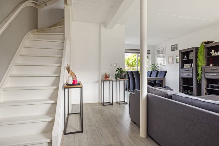 Foto 9 van Sixmastins 7