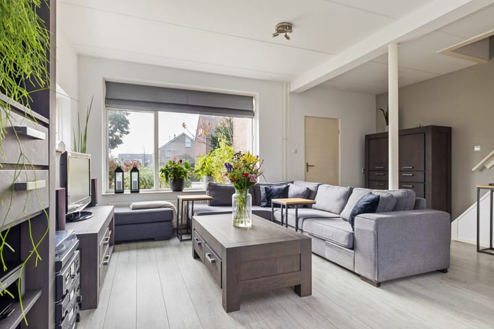 Foto 10 van Sixmastins 7