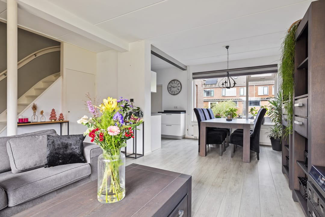 Foto 11 van Sixmastins 7