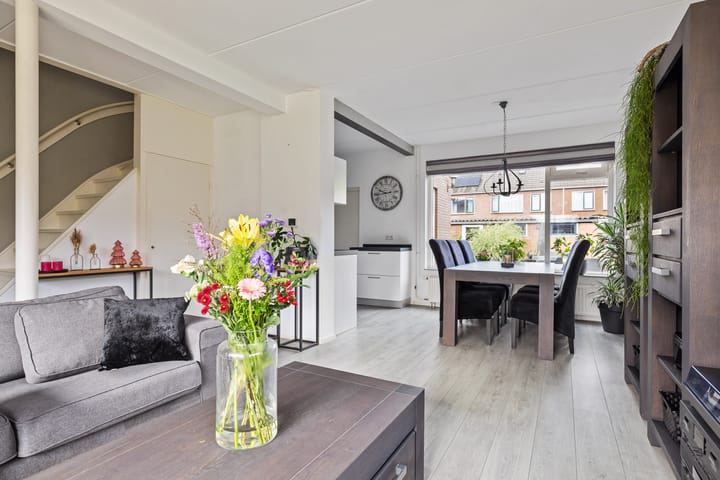 Foto 11 van Sixmastins 7