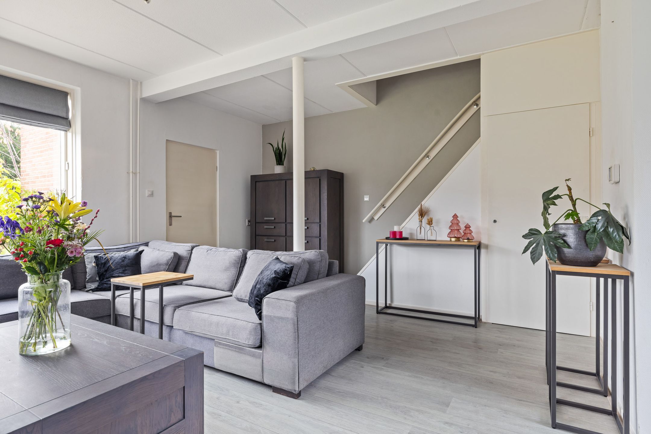 Foto 12 van Sixmastins 7