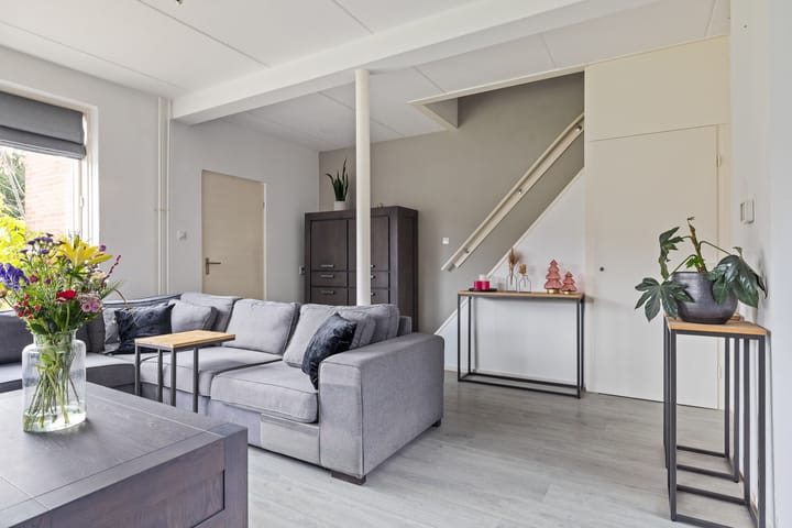 Foto 12 van Sixmastins 7