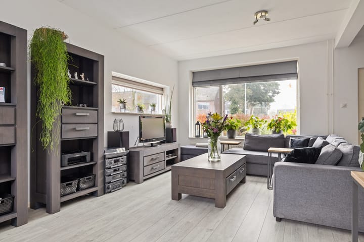 Foto 13 van Sixmastins 7