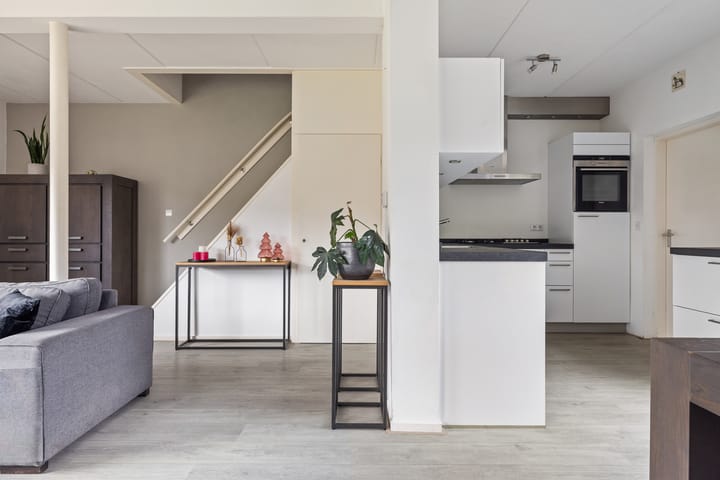 Foto 15 van Sixmastins 7