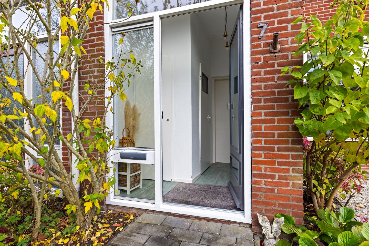 Foto 19 van Sixmastins 7