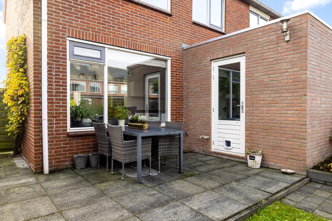 Foto 23 van Sixmastins 7