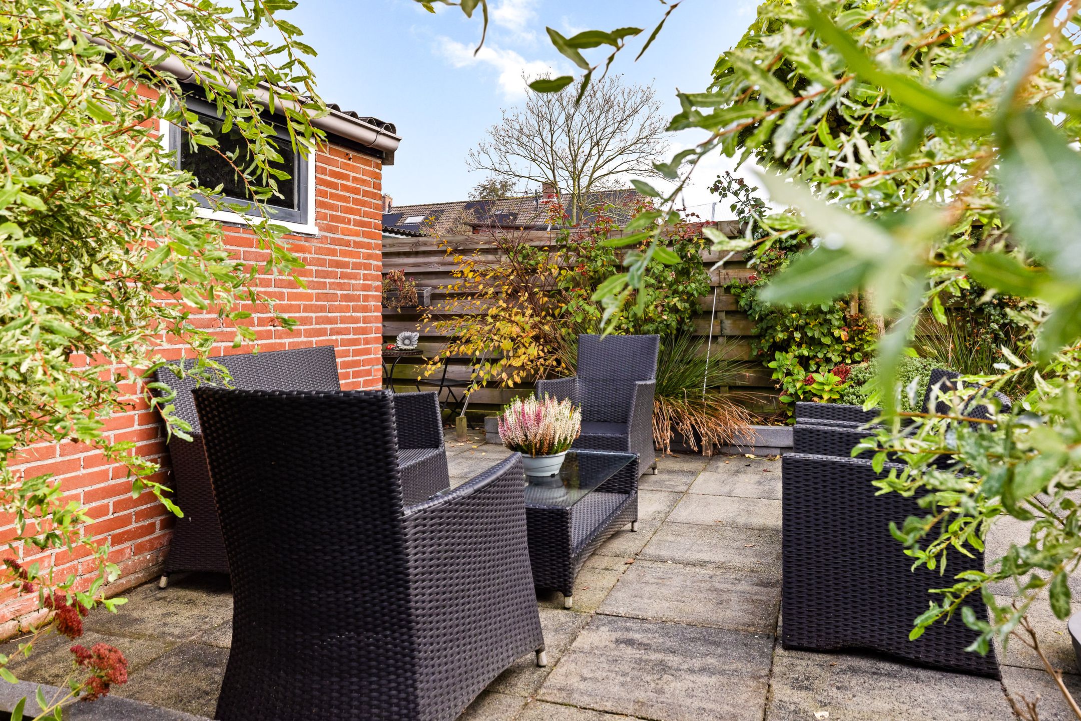 Foto 24 van Sixmastins 7