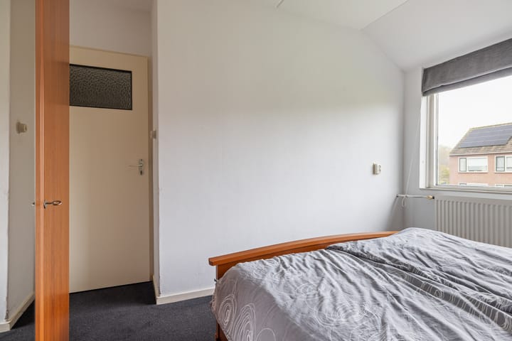 Foto 29 van Sixmastins 7