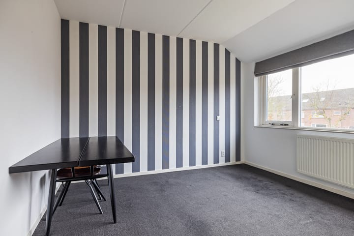 Foto 31 van Sixmastins 7