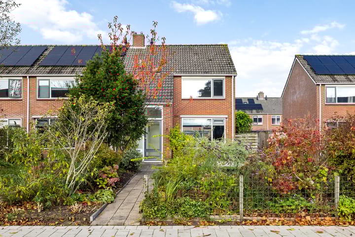 Foto 34 van Sixmastins 7