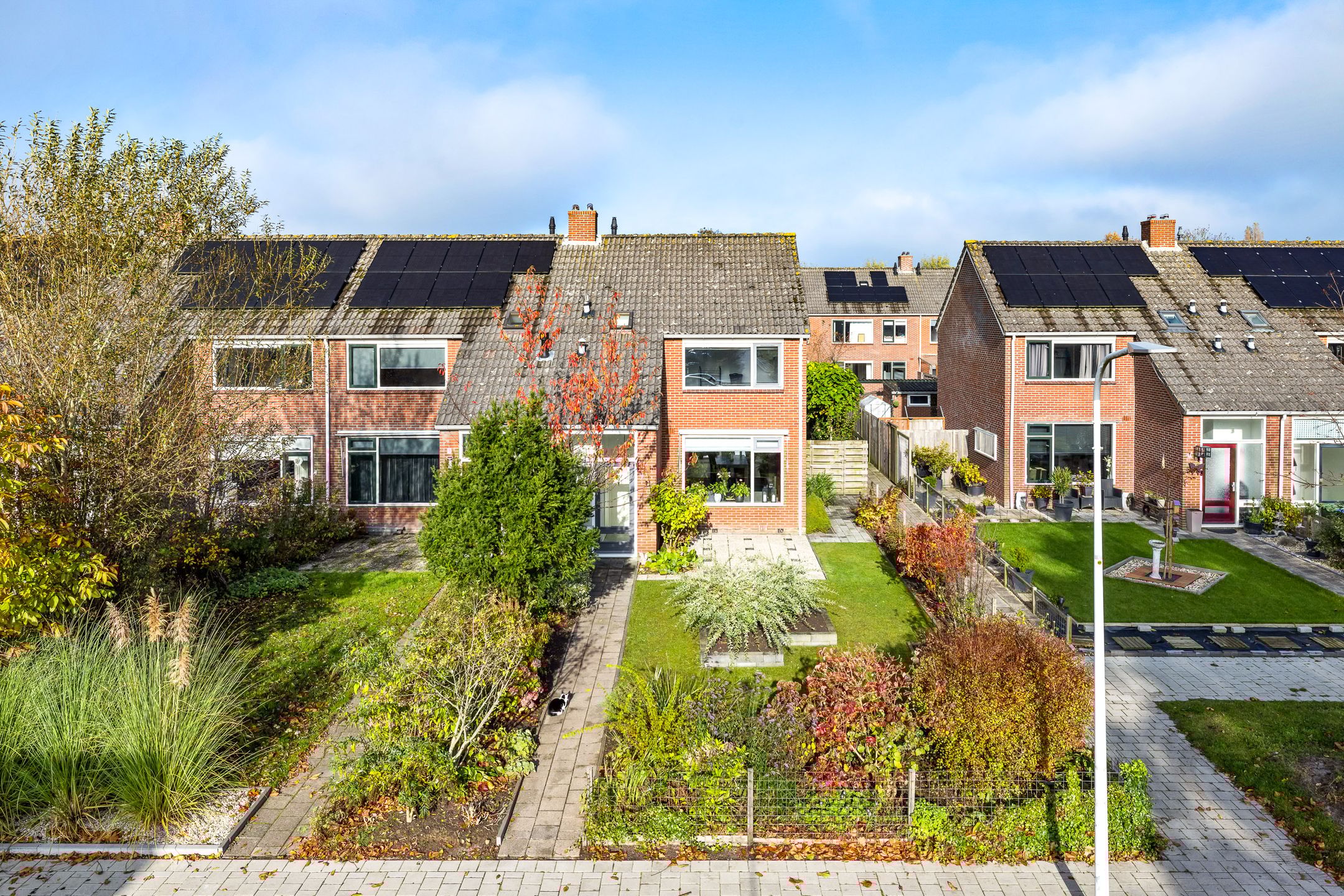 Foto 36 van Sixmastins 7