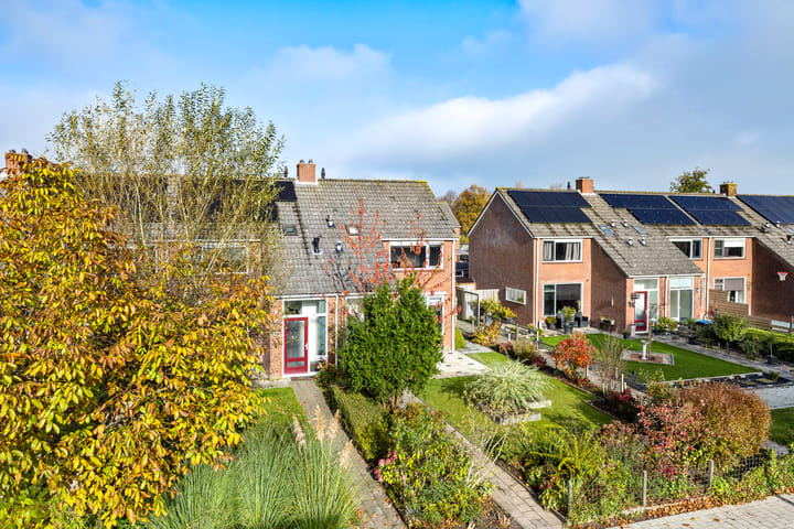 Foto 37 van Sixmastins 7