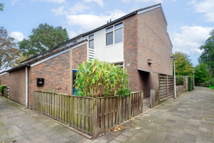 Foto 4 van Lenteklokje 85