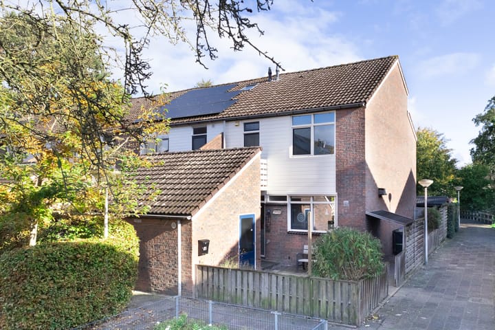 Foto 1 van Lenteklokje 85