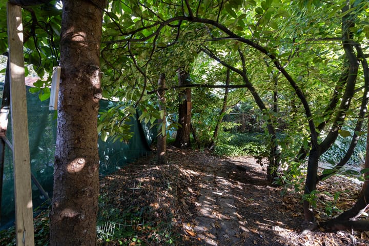 Foto 34 van Panheelderweg 18