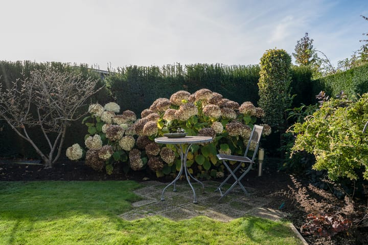 Foto 56 van Schout Offermanstraat 37