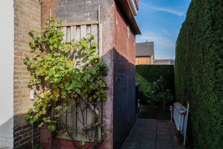 Foto 62 van Schout Offermanstraat 37