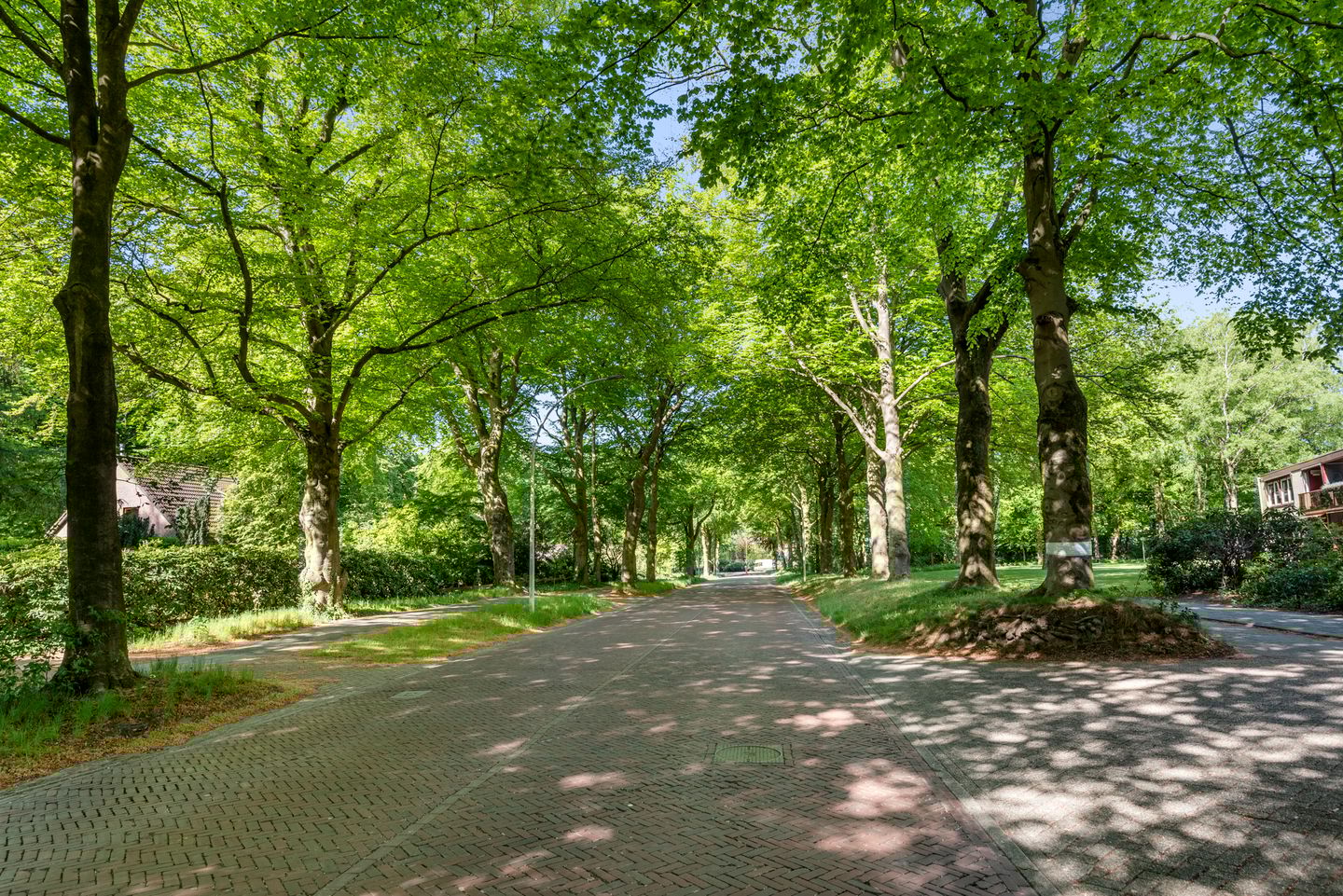 Photo 25 of Generaal Foulkesweg 207