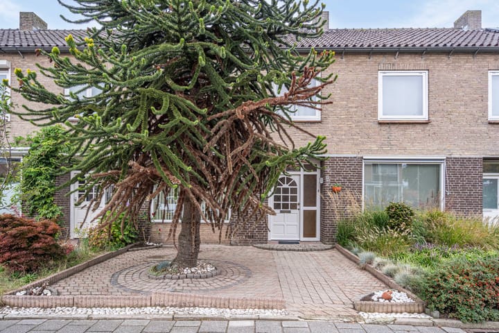 Foto 26 van Torresstraat 5