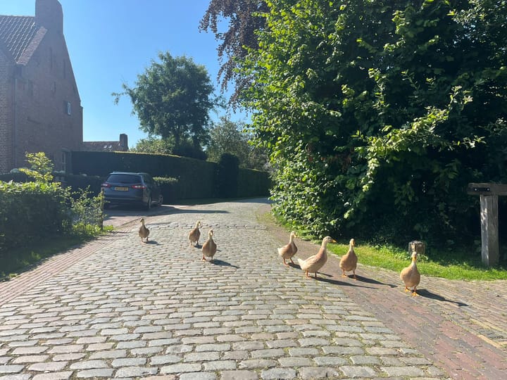 Foto 84 van Magdalena 36