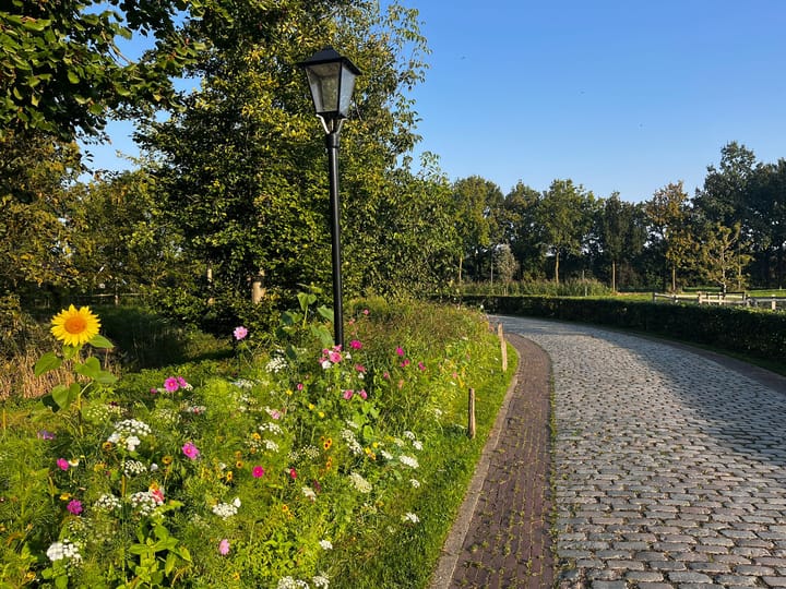 Foto 85 van Magdalena 36