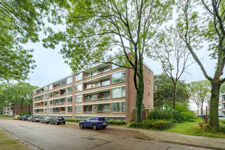 Bekijk foto 3 van Thorbeckestraat 438