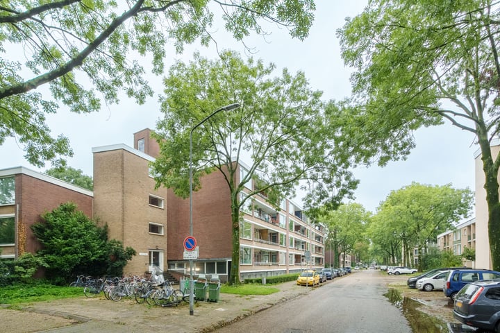 Bekijk foto 2 van Thorbeckestraat 438