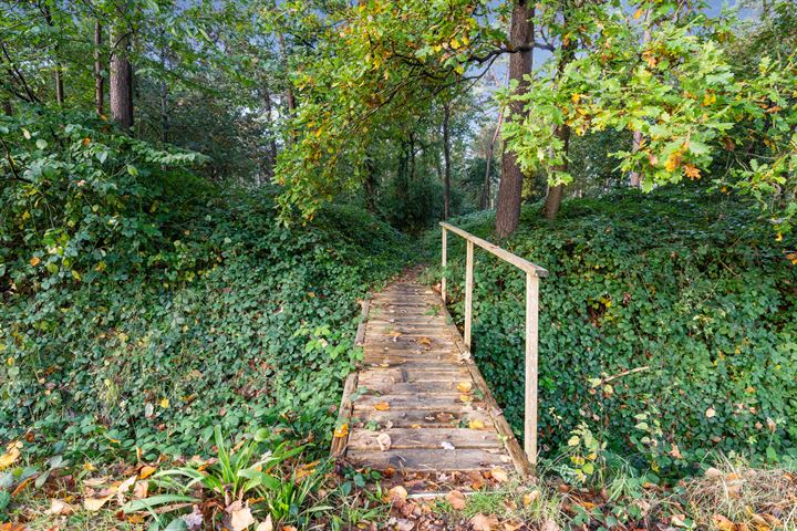 Bekijk foto 55 van Zundertseweg 41-A