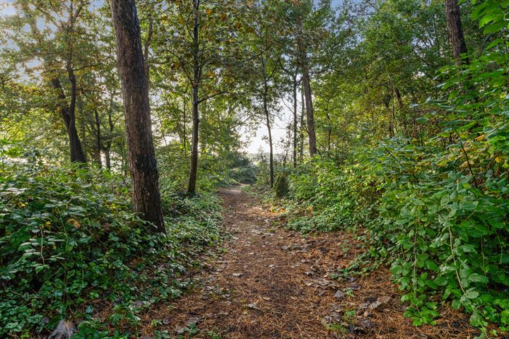 Bekijk foto 56 van Zundertseweg 41-A