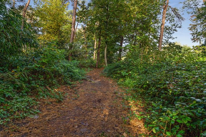 Bekijk foto 58 van Zundertseweg 41-A