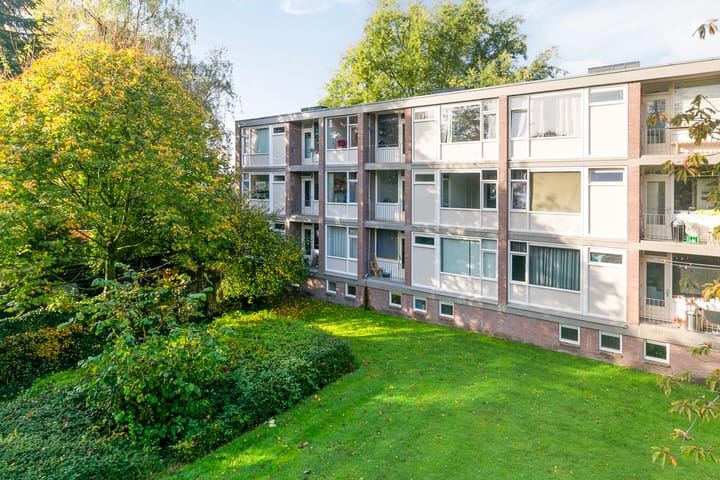 Foto 1 van De Zoom 14