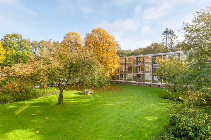 Foto 22 van De Zoom 14