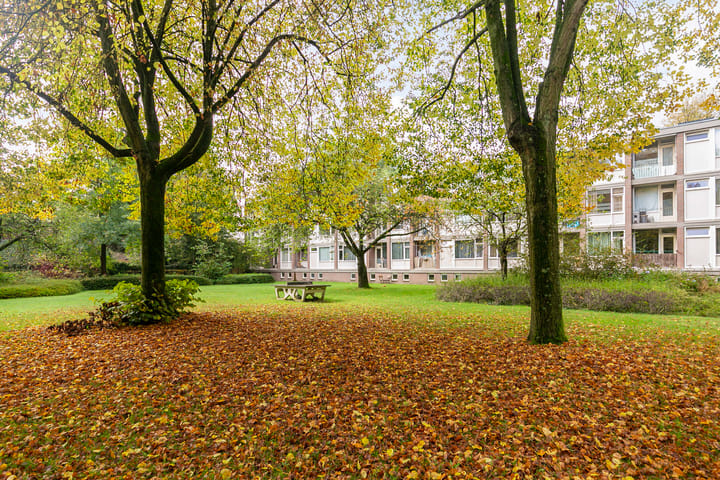 Foto 23 van De Zoom 14