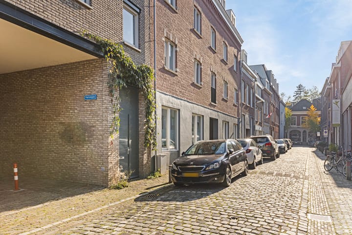 Photo 48 of Halvegas 1