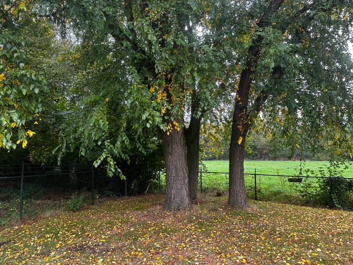 Foto 31 van Graspeel 19-A