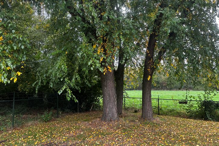 Bekijk foto 31 van Graspeel 19-A