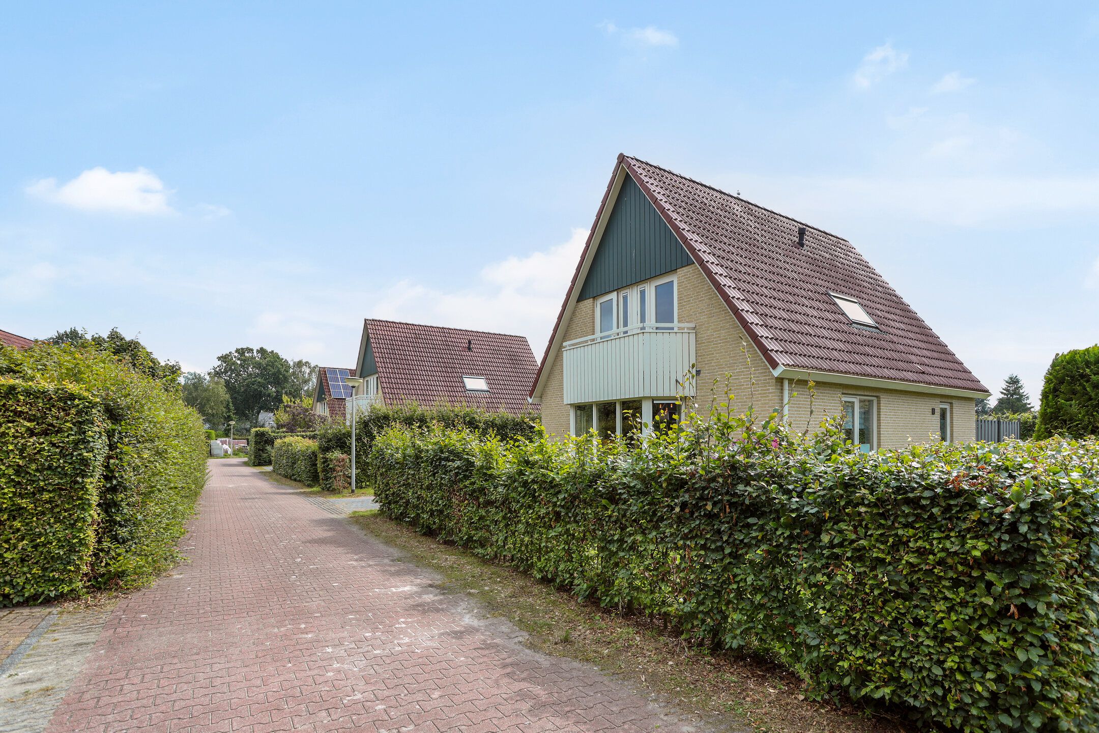 3-bedroom freehold villa in Schoonloo — photo 5 of 5